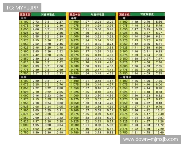 如何理解世界杯赔率最高比赛的投注价值与风险分析