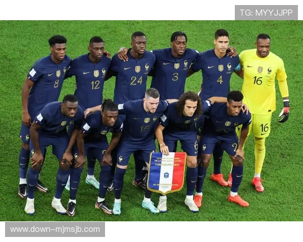 世界杯法国与丹麦比赛的战术布局、关键时刻及未来展望 世界杯法国与丹麦比赛的战术布局、关键时刻及未来展望