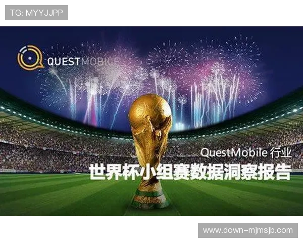 利用统计数据分析优化世界杯报道内容，满足不同用户的多样化需求